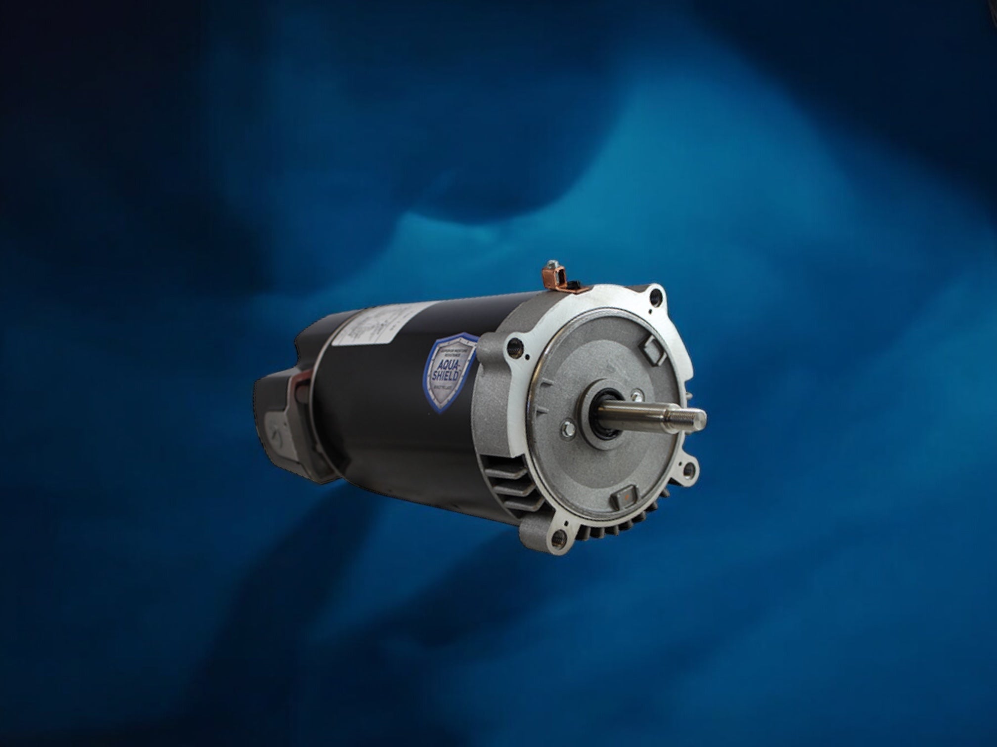 Pool & Spa Motors