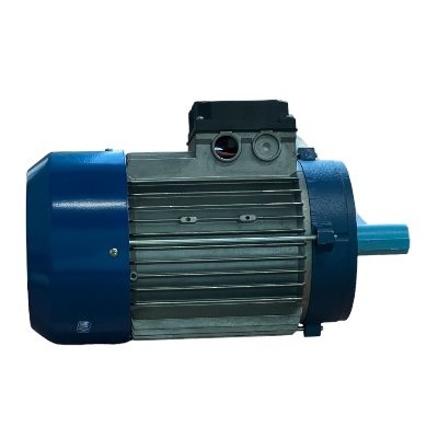 SM100LA2-575-B14 Metric Motor