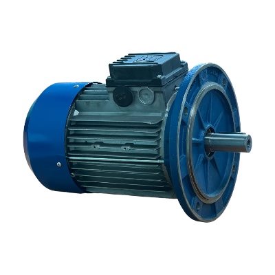 SMX100LA2-575-B5 Metric Motor